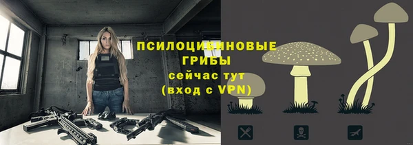 спайс Арсеньев