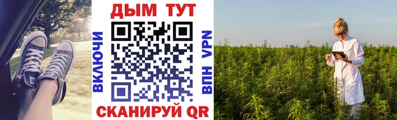 продажа наркотиков  Белёв  omg онион  Шишки марихуана конопля 